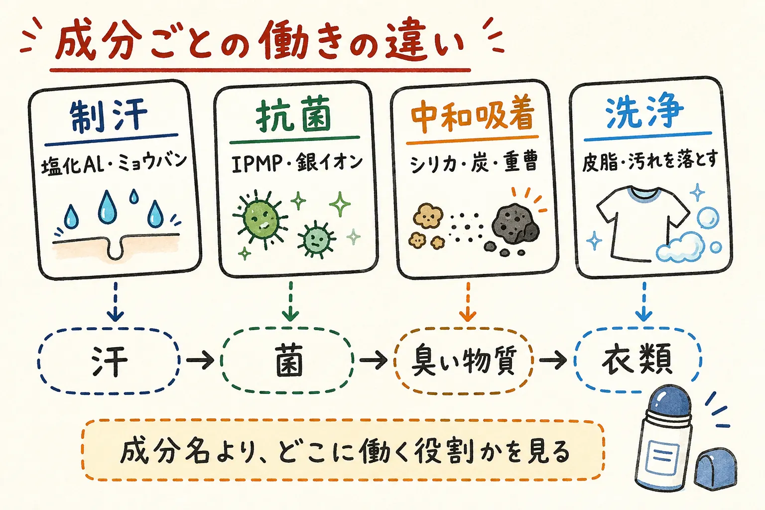 成分ごとの働きの違いの図解
